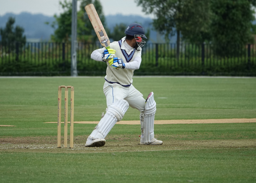 What does the future of cricket look like according to fans?